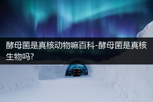 酵母菌是真核动物嘛百科-酵母菌是真核生物吗?