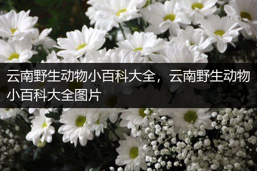 云南野生动物小百科大全，云南野生动物小百科大全图片