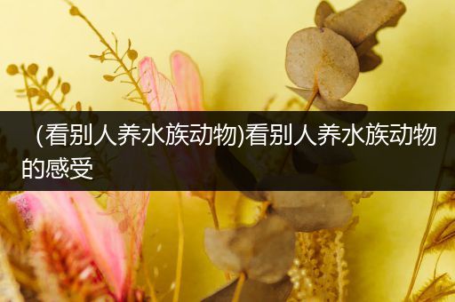 （看别人养水族动物)看别人养水族动物的感受