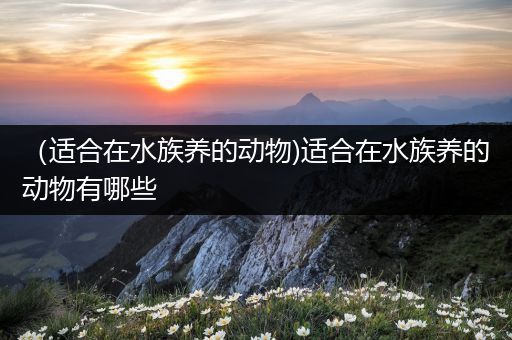 （适合在水族养的动物)适合在水族养的动物有哪些