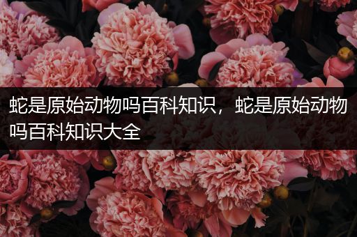 蛇是原始动物吗百科知识，蛇是原始动物吗百科知识大全