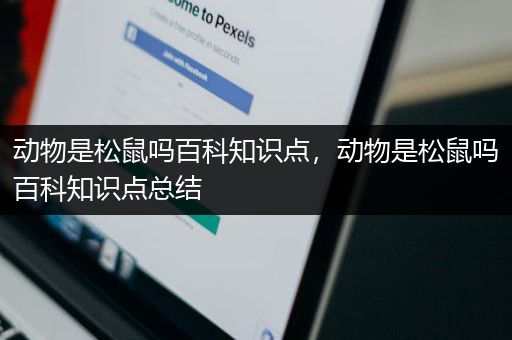 动物是松鼠吗百科知识点，动物是松鼠吗百科知识点总结