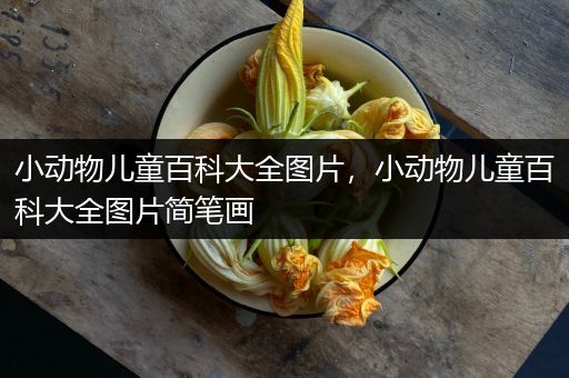小动物儿童百科大全图片，小动物儿童百科大全图片简笔画