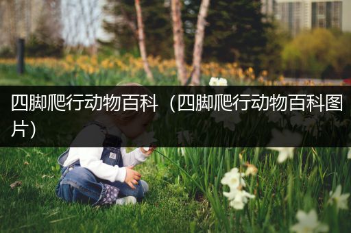 四脚爬行动物百科（四脚爬行动物百科图片）