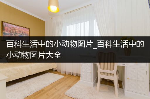 百科生活中的小动物图片_百科生活中的小动物图片大全
