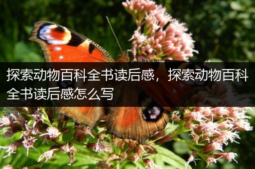 探索动物百科全书读后感，探索动物百科全书读后感怎么写