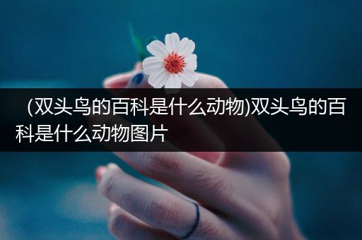 （双头鸟的百科是什么动物)双头鸟的百科是什么动物图片