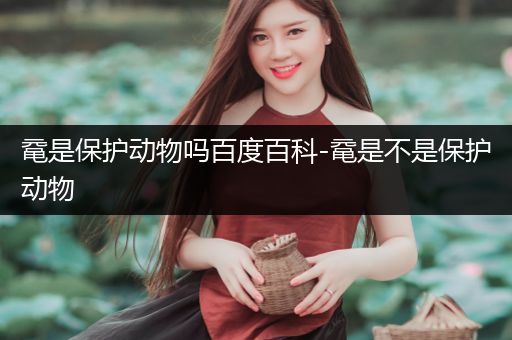 鼋是保护动物吗百度百科-鼋是不是保护动物
