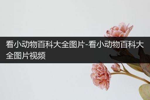 看小动物百科大全图片-看小动物百科大全图片视频