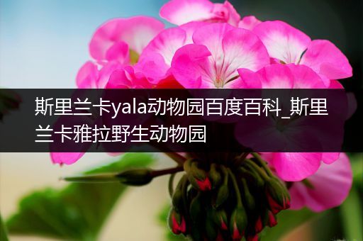 斯里兰卡yala动物园百度百科_斯里兰卡雅拉野生动物园