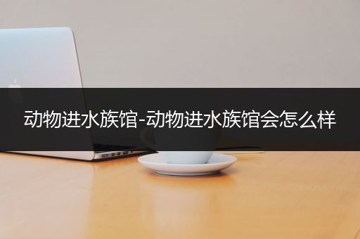 动物进水族馆-动物进水族馆会怎么样