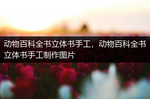 动物百科全书立体书手工，动物百科全书立体书手工制作图片