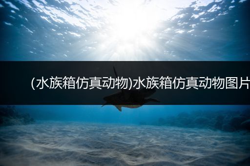 （水族箱仿真动物)水族箱仿真动物图片