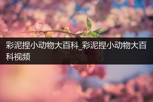 彩泥捏小动物大百科_彩泥捏小动物大百科视频