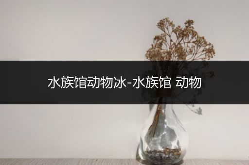 水族馆动物冰-水族馆 动物