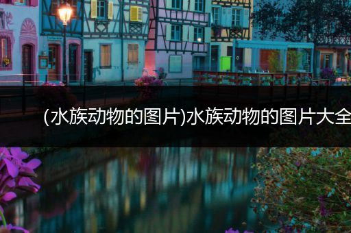 （水族动物的图片)水族动物的图片大全