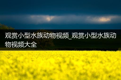 观赏小型水族动物视频_观赏小型水族动物视频大全