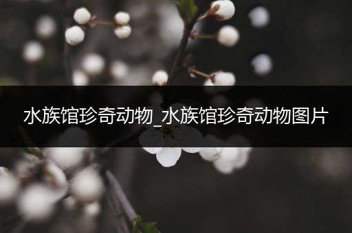 水族馆珍奇动物_水族馆珍奇动物图片