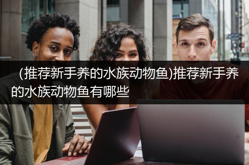（推荐新手养的水族动物鱼)推荐新手养的水族动物鱼有哪些