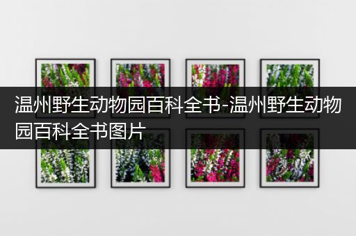温州野生动物园百科全书-温州野生动物园百科全书图片