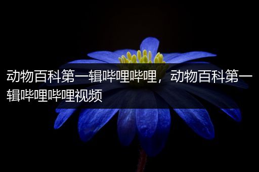 动物百科第一辑哔哩哔哩，动物百科第一辑哔哩哔哩视频