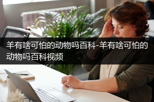 羊有啥可怕的动物吗百科-羊有啥可怕的动物吗百科视频