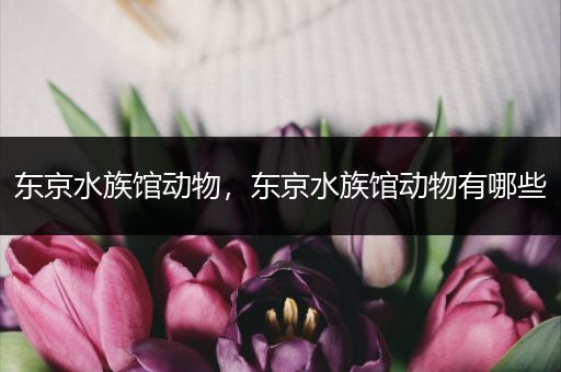 东京水族馆动物，东京水族馆动物有哪些