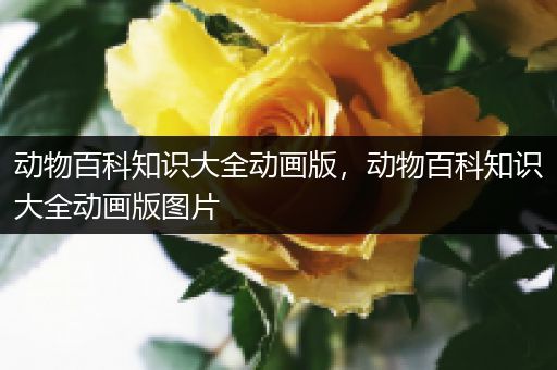 动物百科知识大全动画版，动物百科知识大全动画版图片