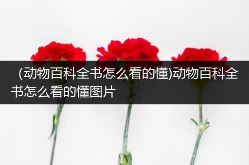 （动物百科全书怎么看的懂)动物百科全书怎么看的懂图片