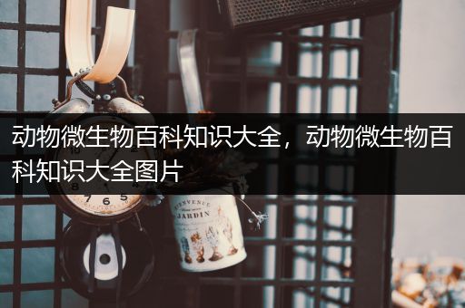 动物微生物百科知识大全，动物微生物百科知识大全图片