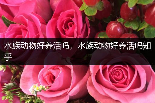 水族动物好养活吗，水族动物好养活吗知乎