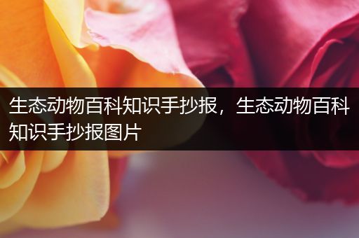 生态动物百科知识手抄报，生态动物百科知识手抄报图片