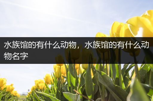 水族馆的有什么动物，水族馆的有什么动物名字