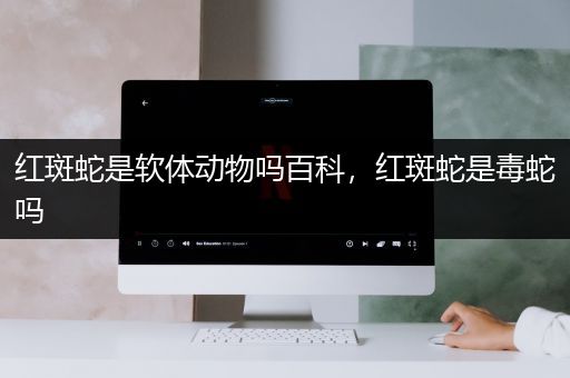 红斑蛇是软体动物吗百科，红斑蛇是毒蛇吗