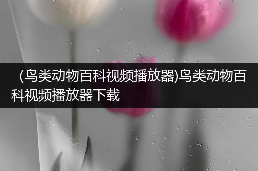 （鸟类动物百科视频播放器)鸟类动物百科视频播放器下载