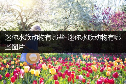 迷你水族动物有哪些-迷你水族动物有哪些图片