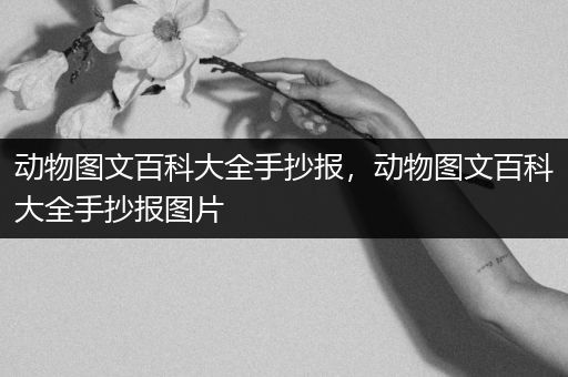 动物图文百科大全手抄报，动物图文百科大全手抄报图片