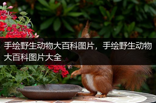 手绘野生动物大百科图片，手绘野生动物大百科图片大全