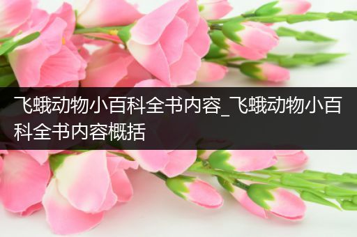 飞蛾动物小百科全书内容_飞蛾动物小百科全书内容概括