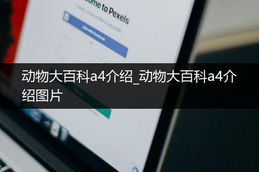 动物大百科a4介绍_动物大百科a4介绍图片