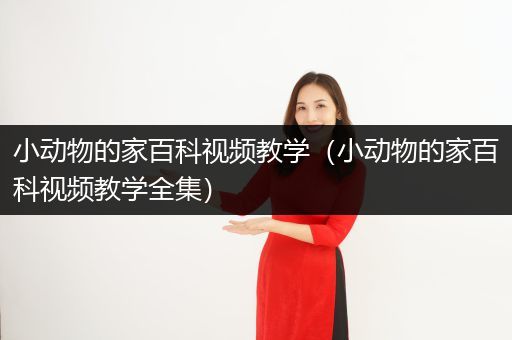 小动物的家百科视频教学（小动物的家百科视频教学全集）