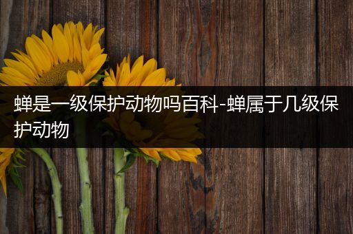 蝉是一级保护动物吗百科-蝉属于几级保护动物