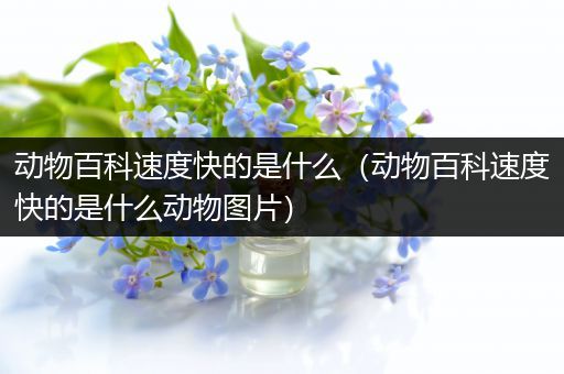 动物百科速度快的是什么（动物百科速度快的是什么动物图片）
