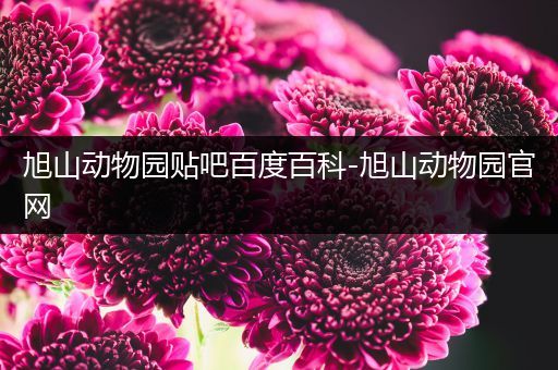 旭山动物园贴吧百度百科-旭山动物园官网