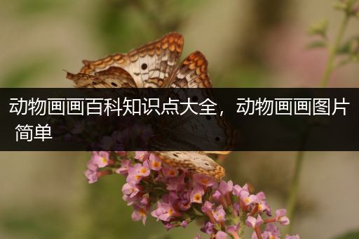 动物画画百科知识点大全，动物画画图片 简单