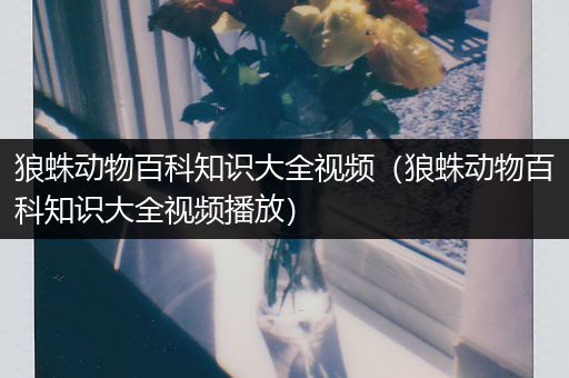 狼蛛动物百科知识大全视频（狼蛛动物百科知识大全视频播放）