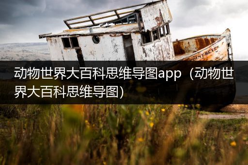 动物世界大百科思维导图app（动物世界大百科思维导图）