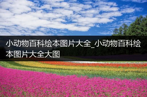 小动物百科绘本图片大全_小动物百科绘本图片大全大图