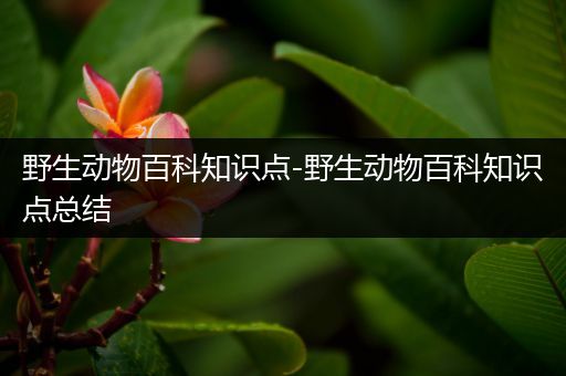 野生动物百科知识点-野生动物百科知识点总结