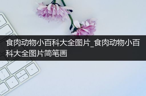 食肉动物小百科大全图片_食肉动物小百科大全图片简笔画